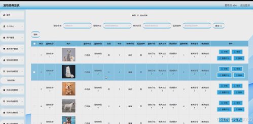 springboot計(jì)算機(jī)畢業(yè)設(shè)計(jì)寵物領(lǐng)養(yǎng)系統(tǒng) 程序 源碼 數(shù)據(jù)庫(kù)